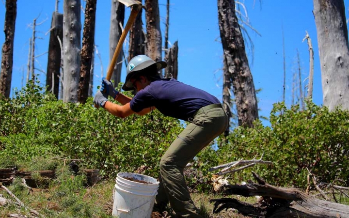 A person swings a garden tool while working during a service project with outward bound